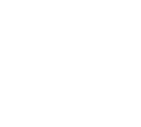 Lietuvos kino centras